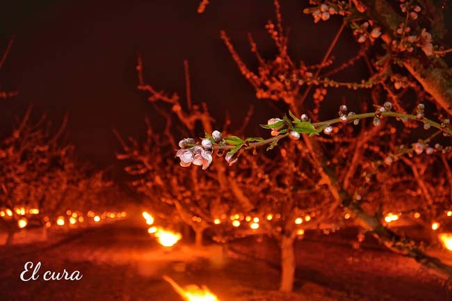 Paraje en Hoya del Campo (Abarán)