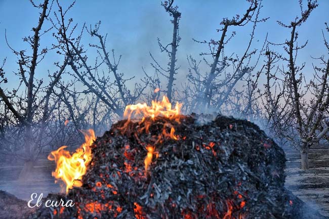 Paraje en La Serrana (Cieza)