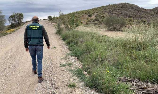 Un guardia civil, este fin de semana, en la sierra de Cieza  / C.C.