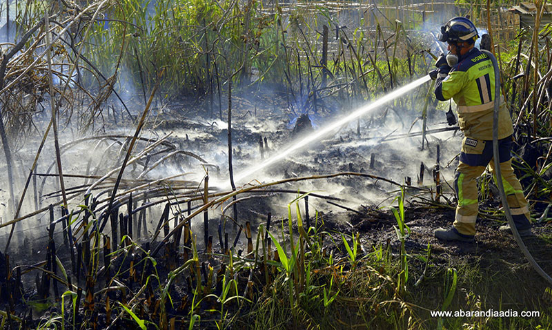 Bomberos durante las tareas de extinción