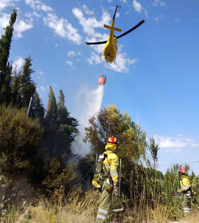 Imagen: Dirección General del Medio Natural.