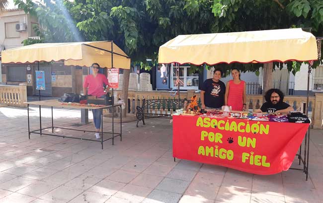 Stands ubicados en Hoya del Campo