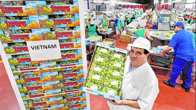 Imagen; Vicente Vicents