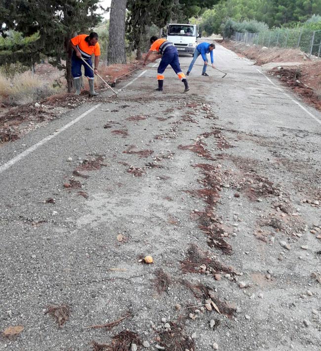 Operarios municipales trabajando en la zona