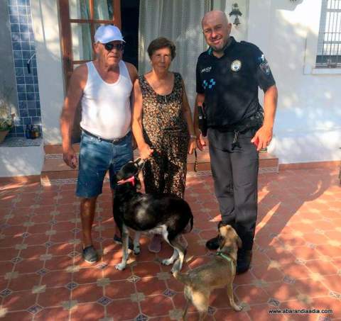 Luna tras ser entregada a sus dueños