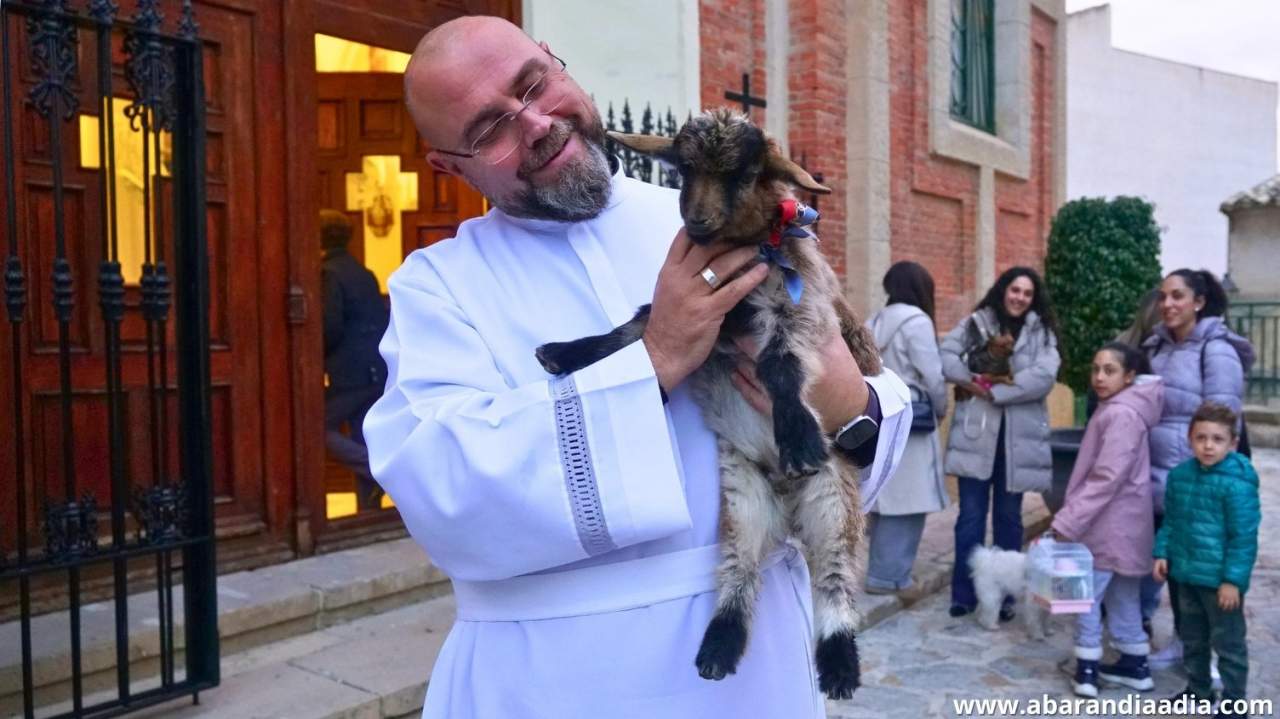 Bendición de los animales: perros, gatos, pájaros, e incluso una pequeña cabrita