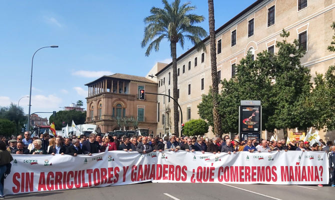 Para los convocantes la manifestación ha sido todo un éxito