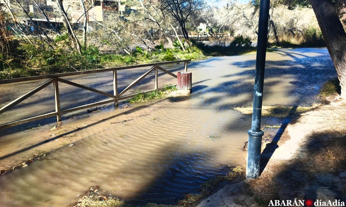 Las rachas de viento, de hasta 90 km/h, dejan más de una decena de incidentes en Abarán