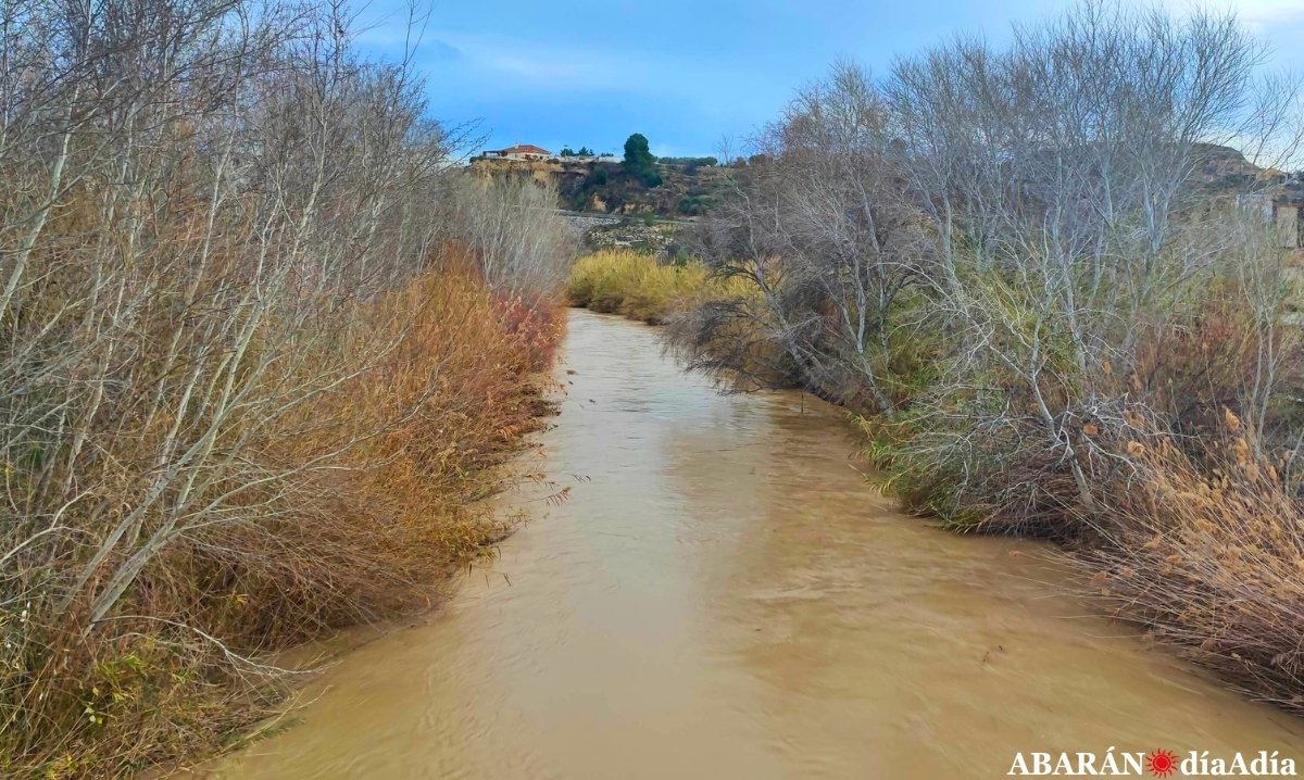 La crecida controlada del río Segura por el desembalse del Camarillas se nota en Abarán