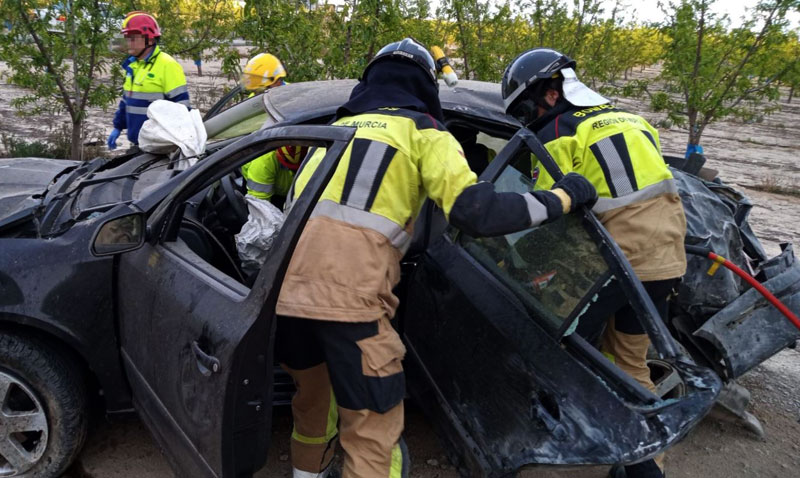 Imagen facilitada por bomberos del CEIS