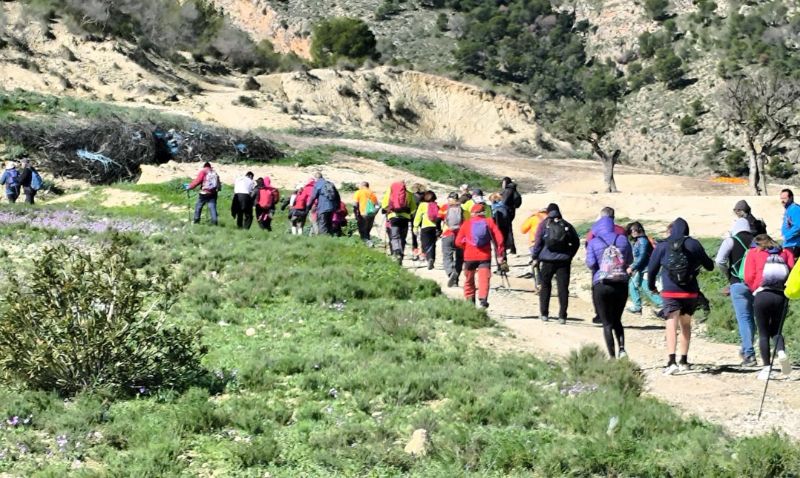 Más de medio millar de senderistas participan en Abarán en el XVIII Día Regional del Senderista