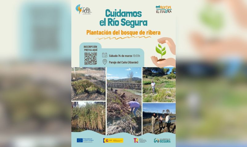 Abarán acoge este sábado una jornada de plantación en el bosque de ribera