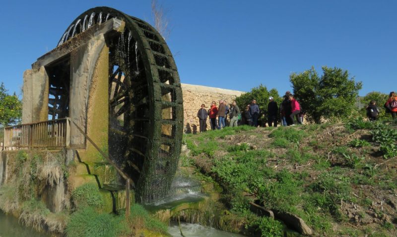 La Noria de la Hoya de Don García celebra el 80 aniversario de su última reconstrucción
