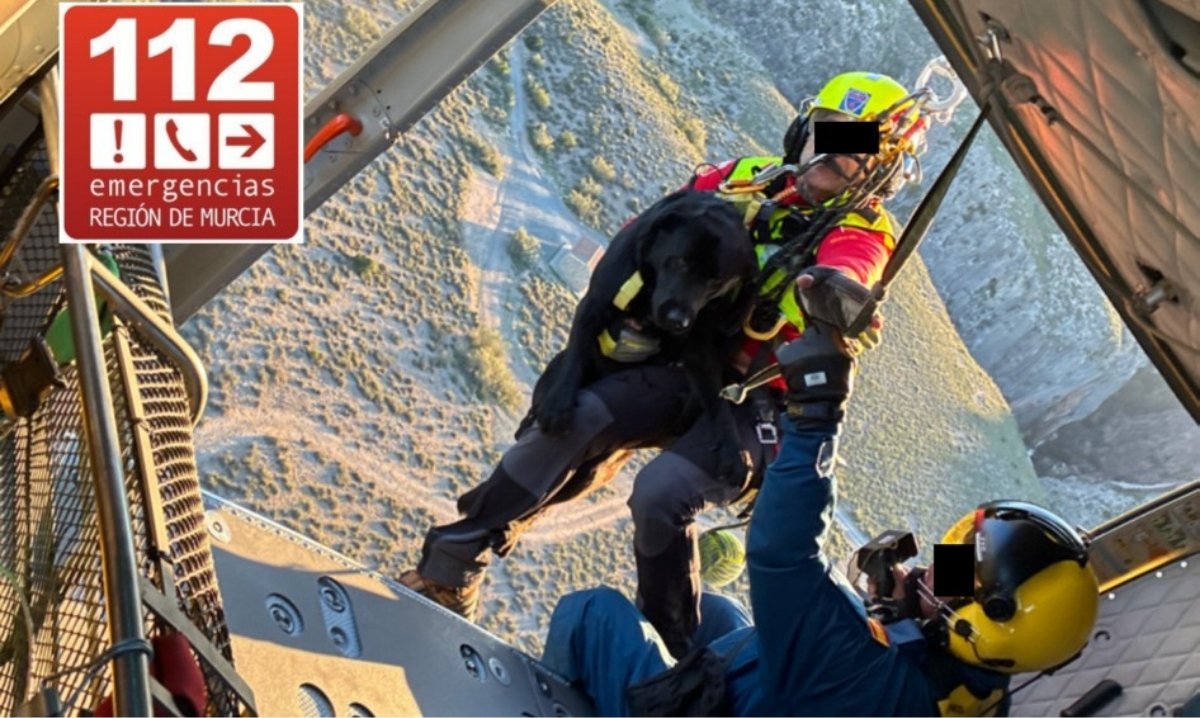 Servicios de emergencia rescatan a un perro perdido en el Cañón de Almadenes, Cieza