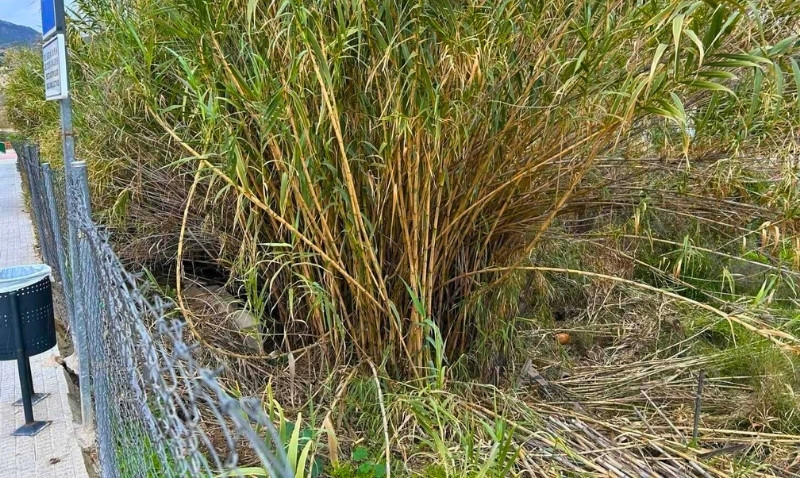 Se intensifican las inspecciones de solares en Abarán, con multas de hasta 3.000 euros
