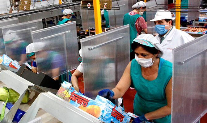 Trabajadoras en Frutas Torero