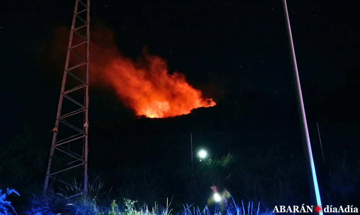 Efectivos de emergencias trabajan en la extinción de un incendio en zona de monte
