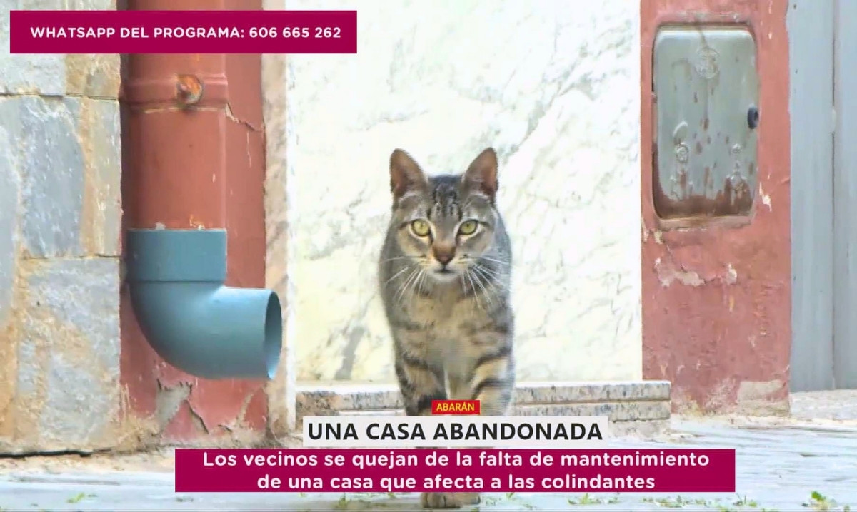 Una vecina de Abarán denuncia: «De esa casa salen ratas que se cuelan en las viviendas»