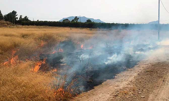 Terreno afectado por el incendio