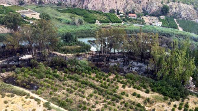 Parte de la zona arrasada vista desde el aire