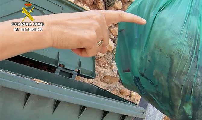 El cuerpo del felino fue sacado de la basura por una vecina