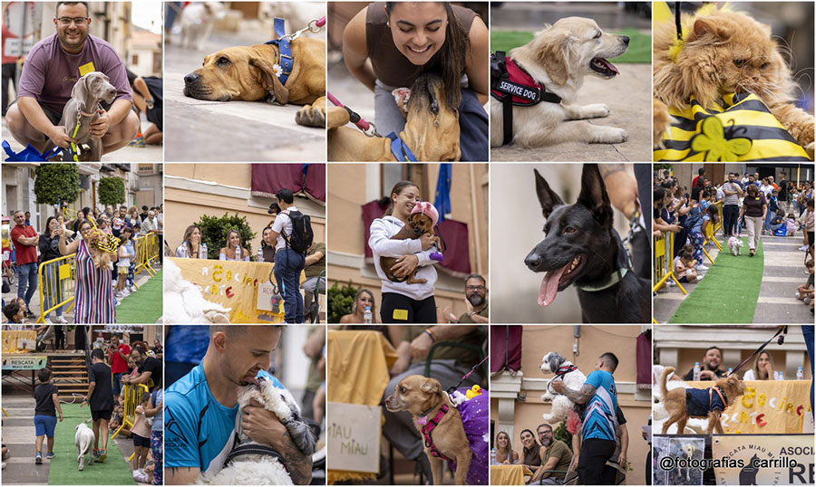 La XV Exhibición de Mascotas llena de solidaridad la Plaza Vieja de Abarán