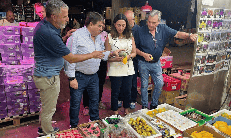La Región de Murcia proyecta en Asia la excelencia agricola del sector hortofrutícola