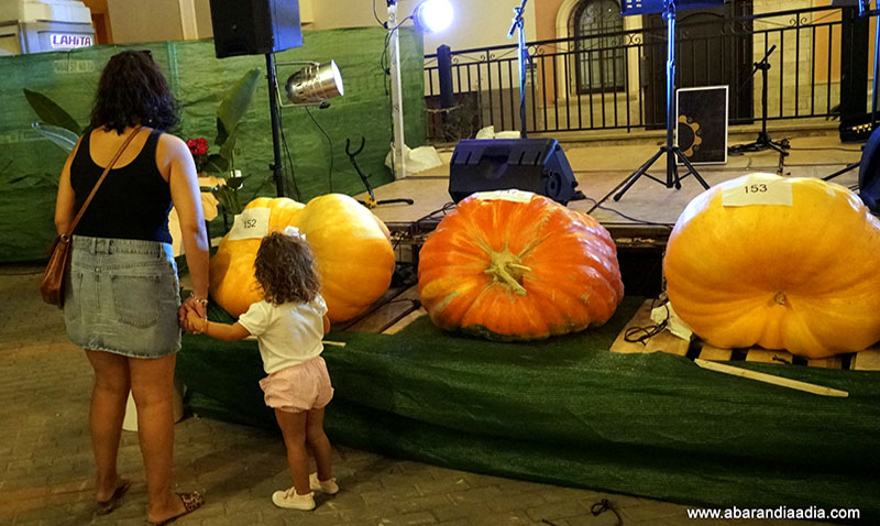 ‘Dale calabazas al cáncer’ se pone en marcha con una tercera edición de récord