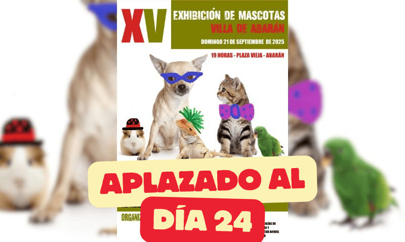 Debido a la previsión de lluvia, se aplaza la exhibición de mascotas prevista para hoy