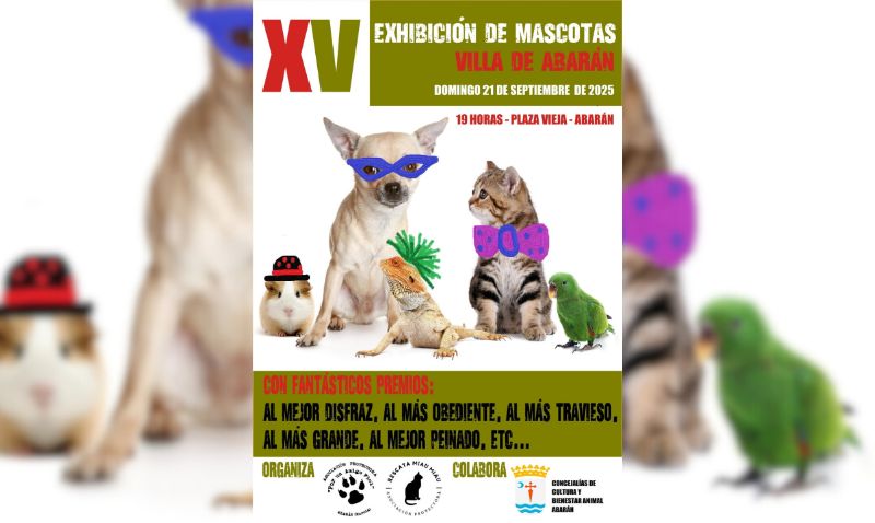 Este domingo se celebra la XV Exhibición de Mascotas 'Villa de Abarán'