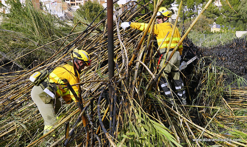 Efectivos trabajando en la zona
