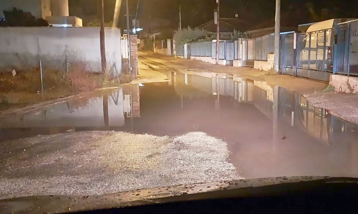 «Llevamos ya dos años sufriendo este problema y seguimos sin soluciones»