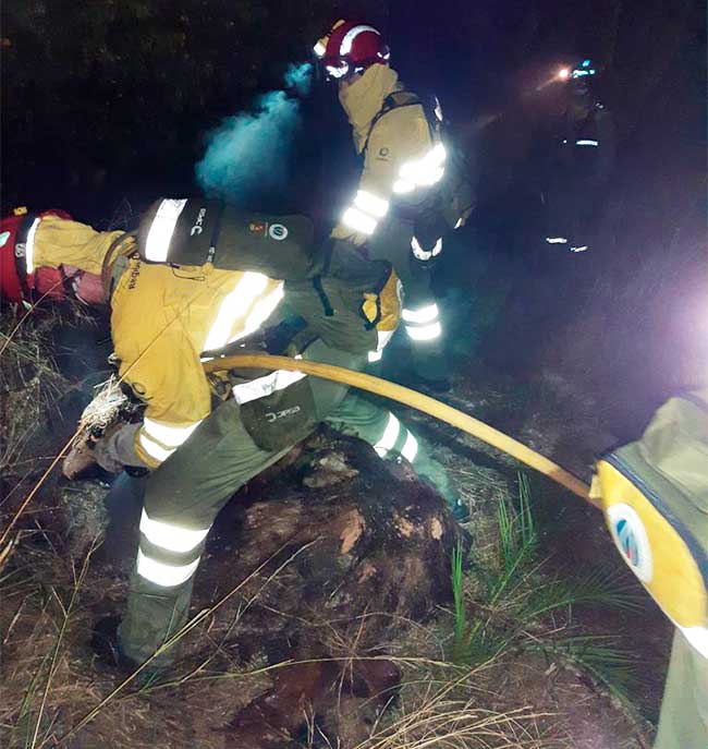 Brigadas forestales siguen en la zona hasta la total extinción