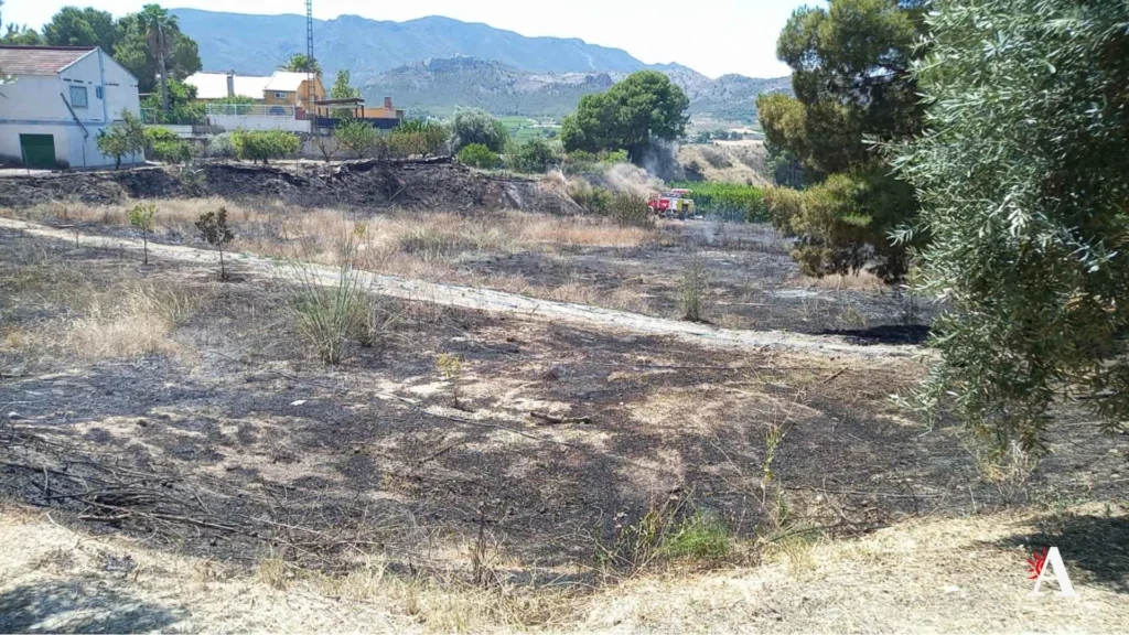 Incendio bancales en Cieza 2026