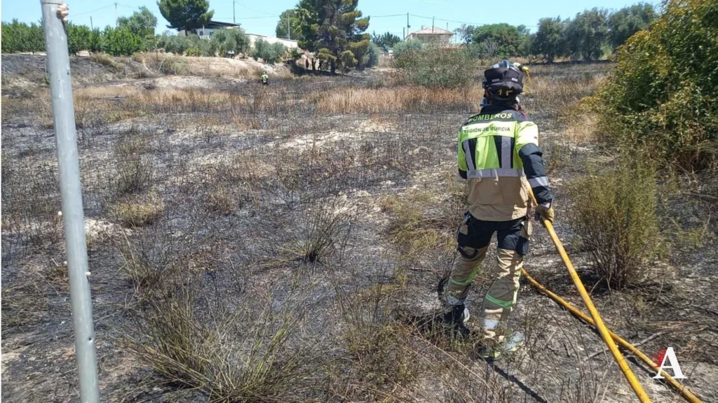 Incendio bancales en Cieza junio 2026