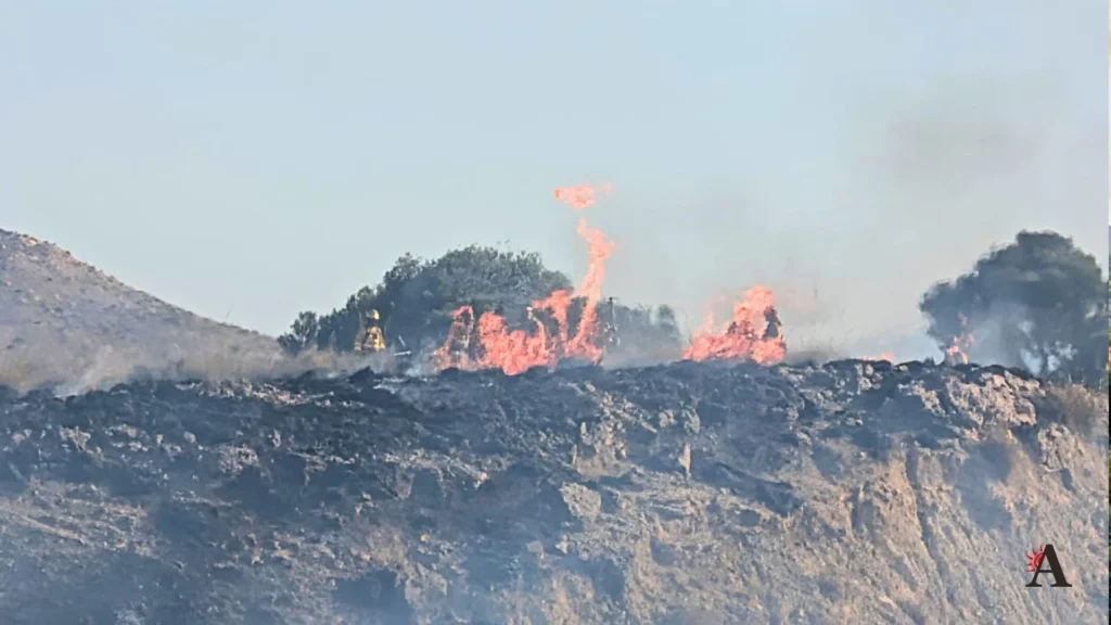 Incendio en Villanueva cenizas en Abaran (1)