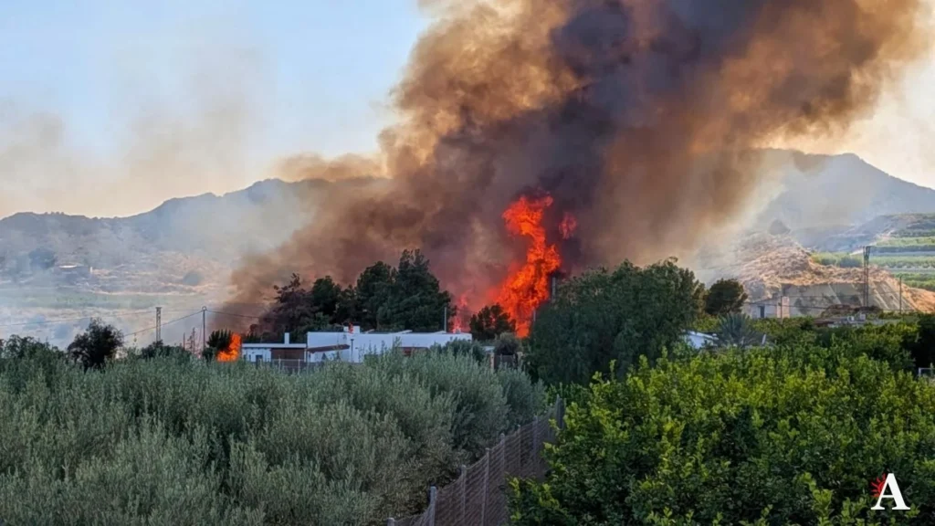 Incendio en Villanueva cenizas en Abaran