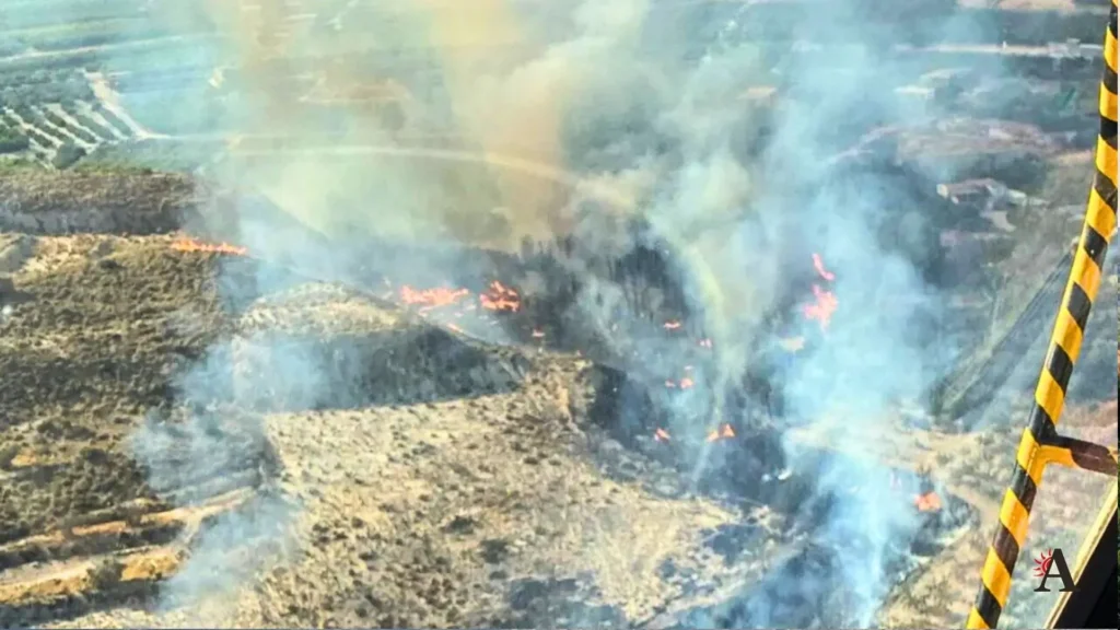 Incendio en Villanueva cenizas en Abaran (2)