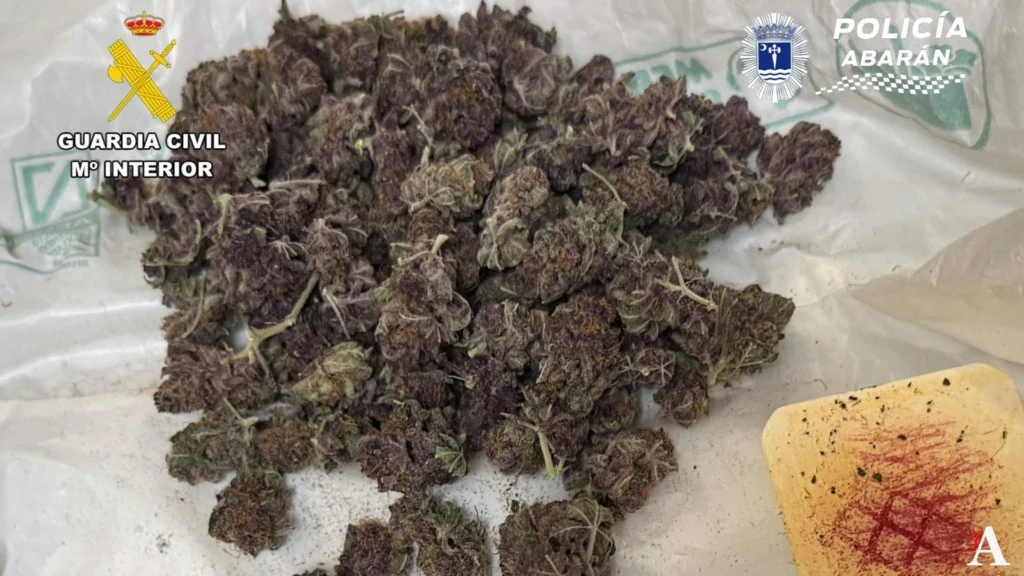 Punto de droga desmantelado en Abaran (2)