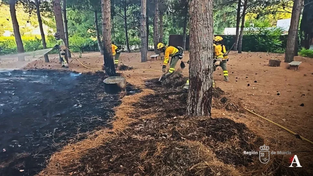 Incencio paraje El Argaz en Cieza (1)