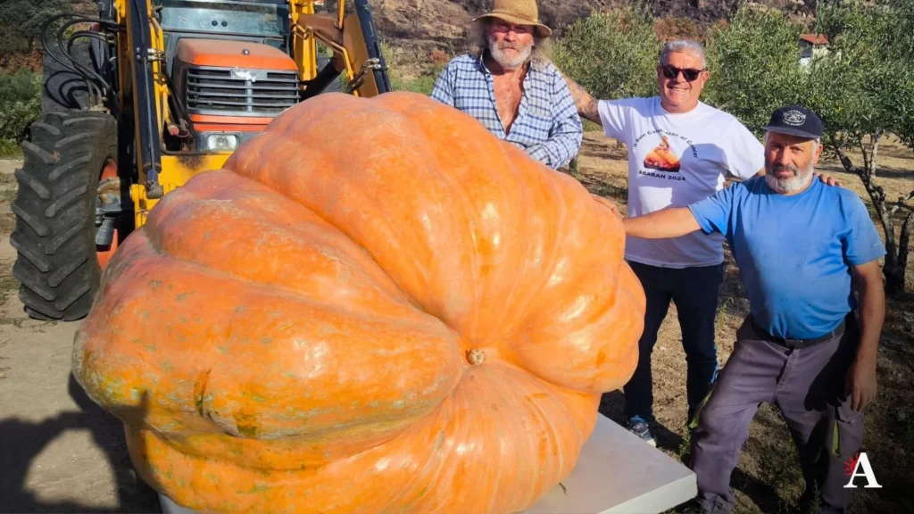 Calabazas al cancer Abaran 2026 (1)