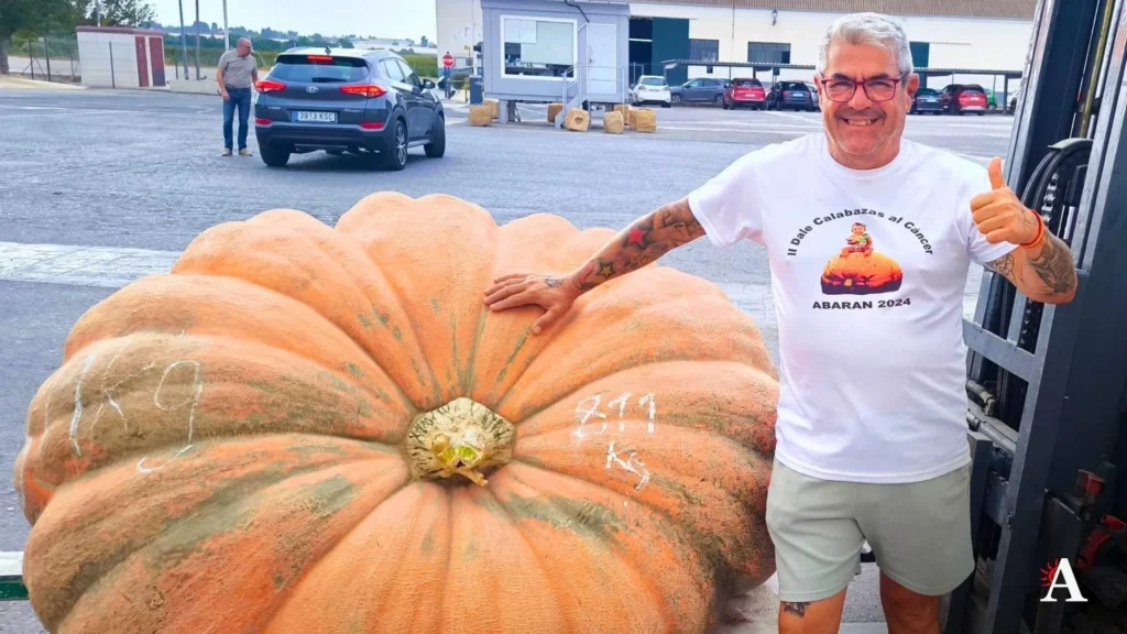 Calabazas al cancer Abaran 2026
